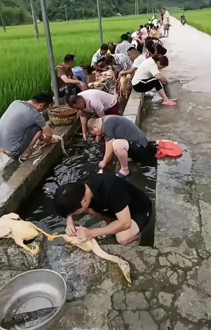 整个村一半以上的光棍，回家过年都是自食其力。