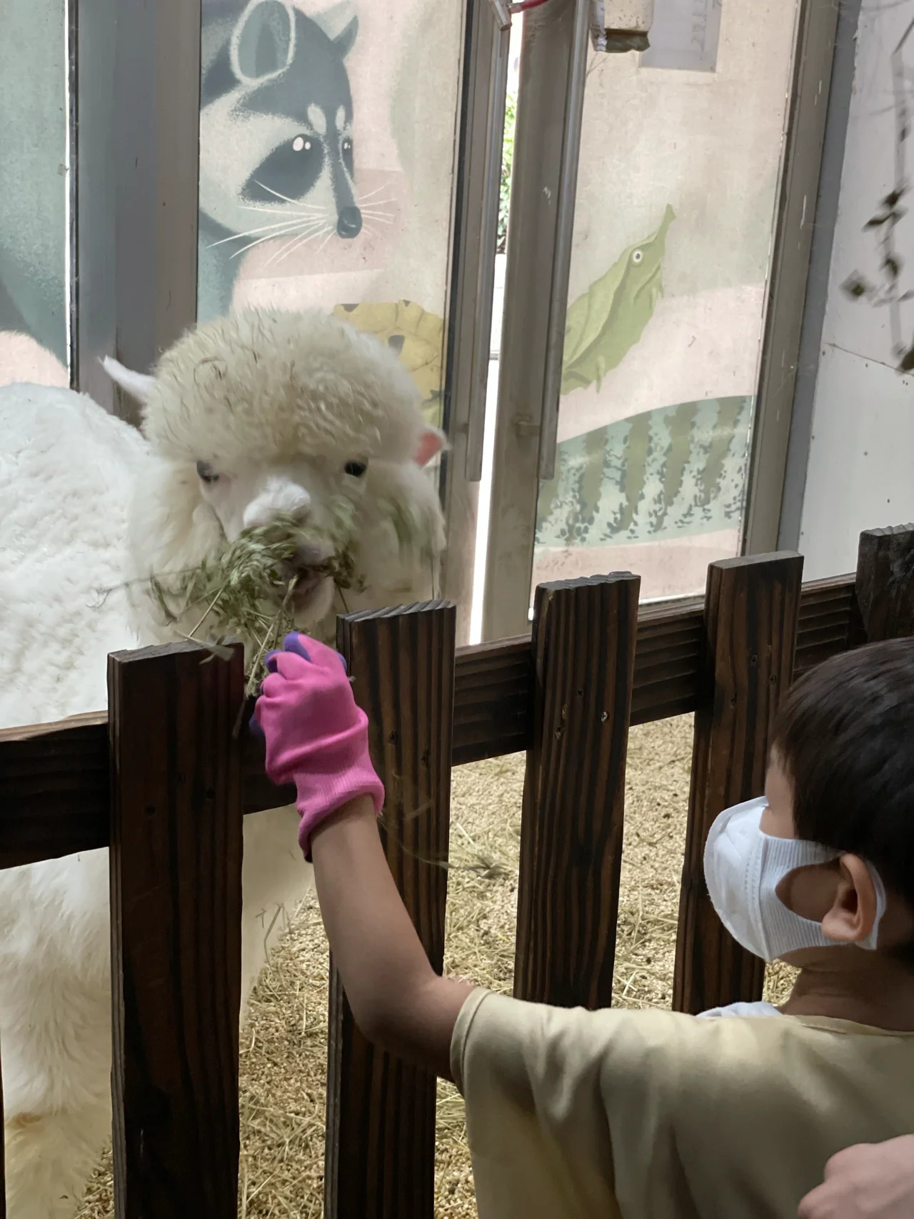 魔都溜娃🌈自带沉浸式讲解的室内动物园