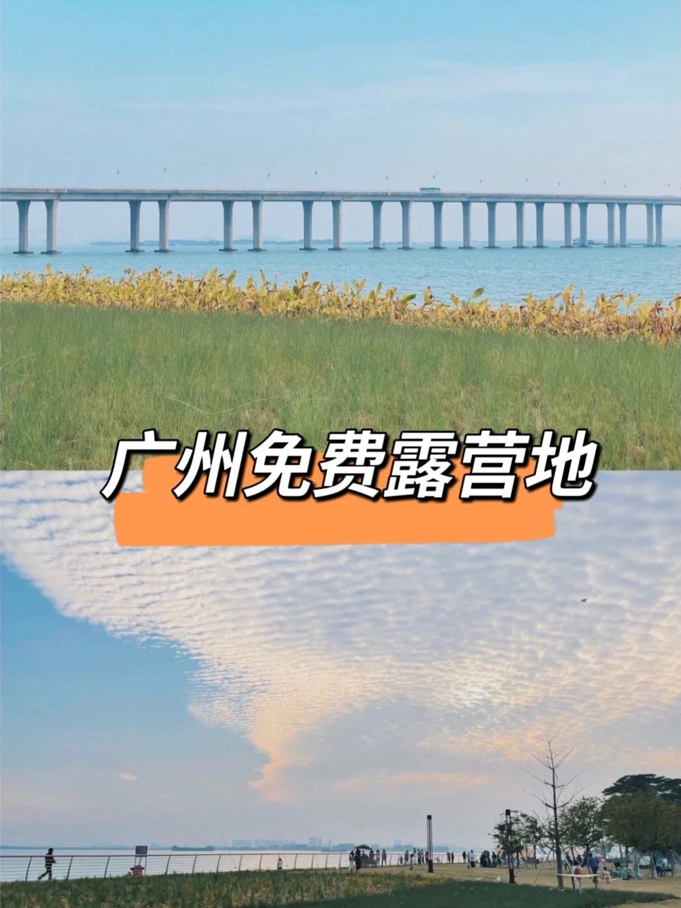 广州免费露营⛺️推荐｜走进宫崎骏的漫画