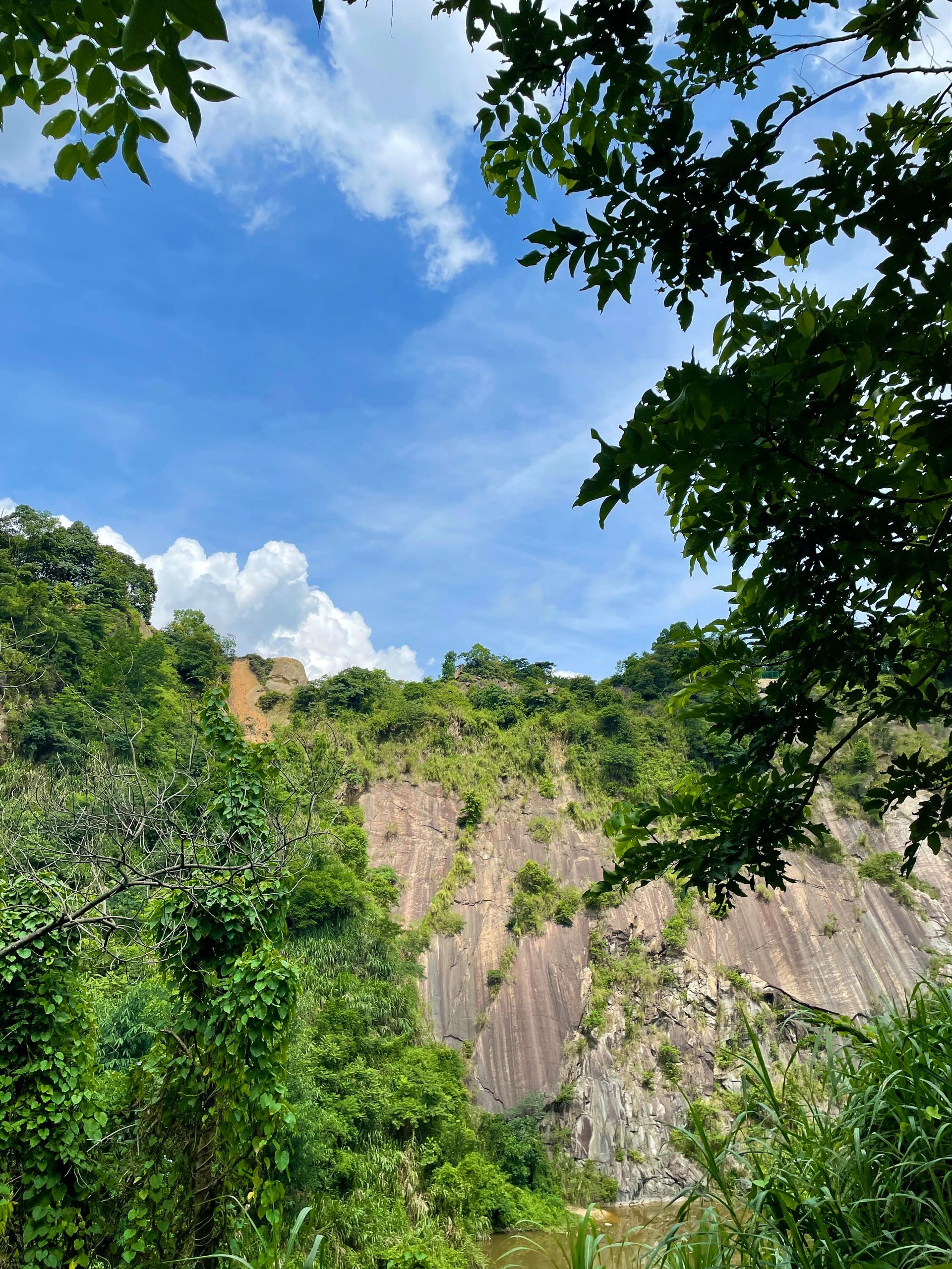 山上的风好凉快🍃