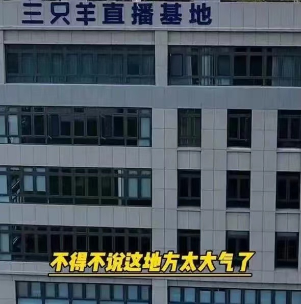 小杨哥宣布搬入1亿元新大楼，引发热议。这座大楼曾是一家亏损严重的科技公司，被小杨