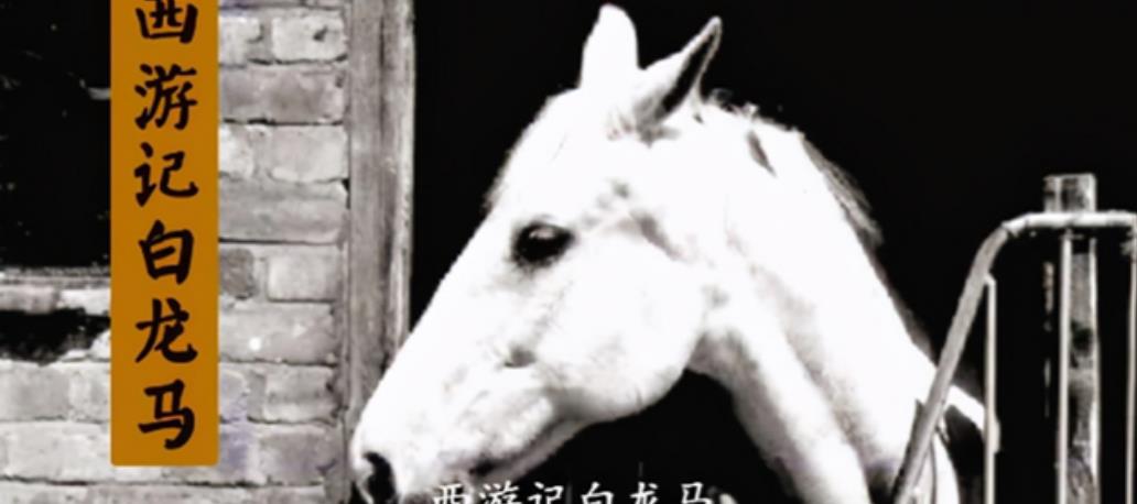 西游记拍摄结束后，导演杨洁找人把白龙马，安置在了无锡的养马场。1995年，杨洁再