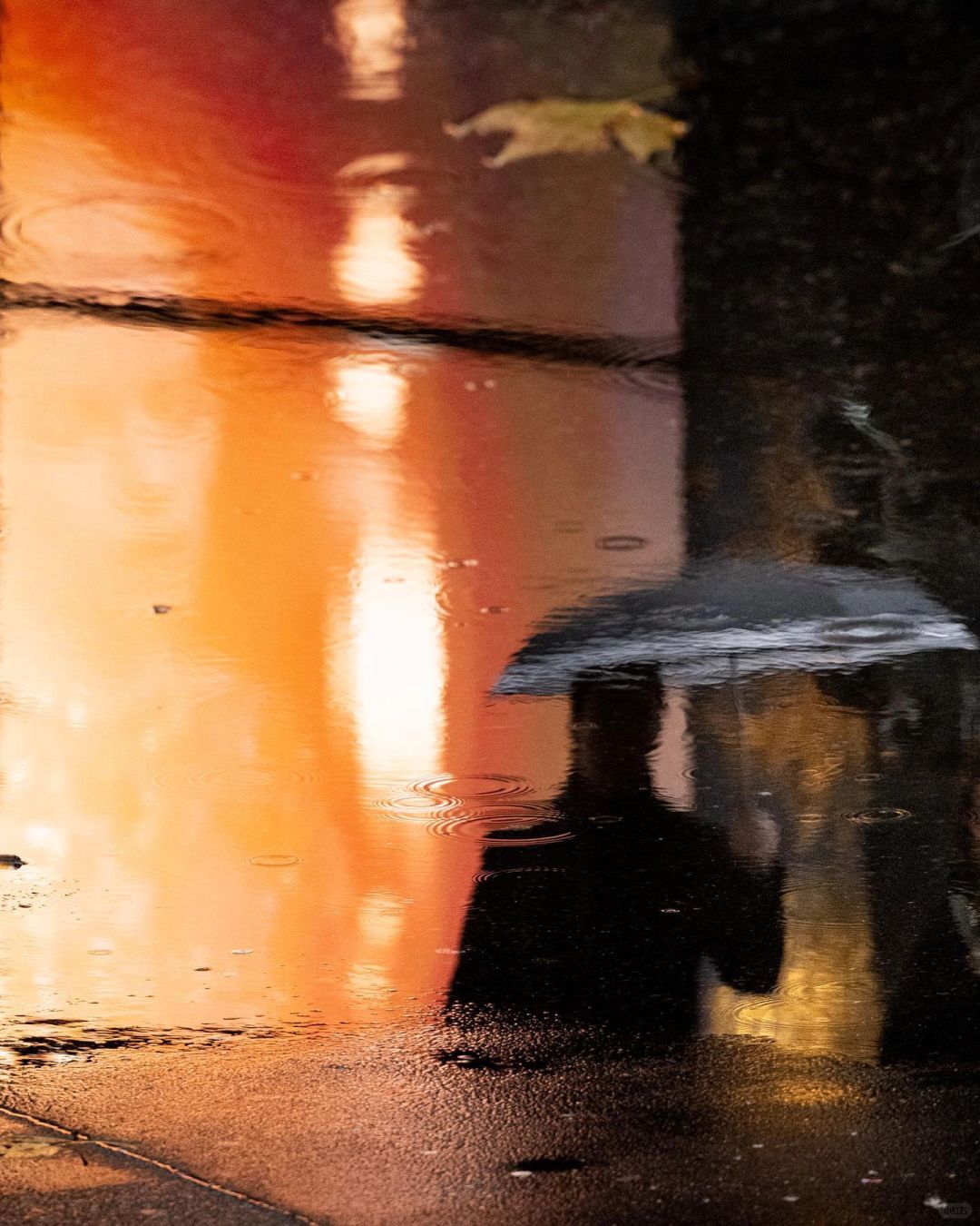 雨中倒影
雨天诗意的街头影像，摄影师Maximilian Streich