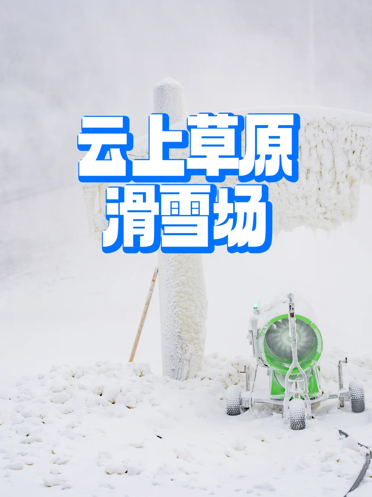 ❄️ 冰雪童话，云上草原赏雪之旅 ❄️