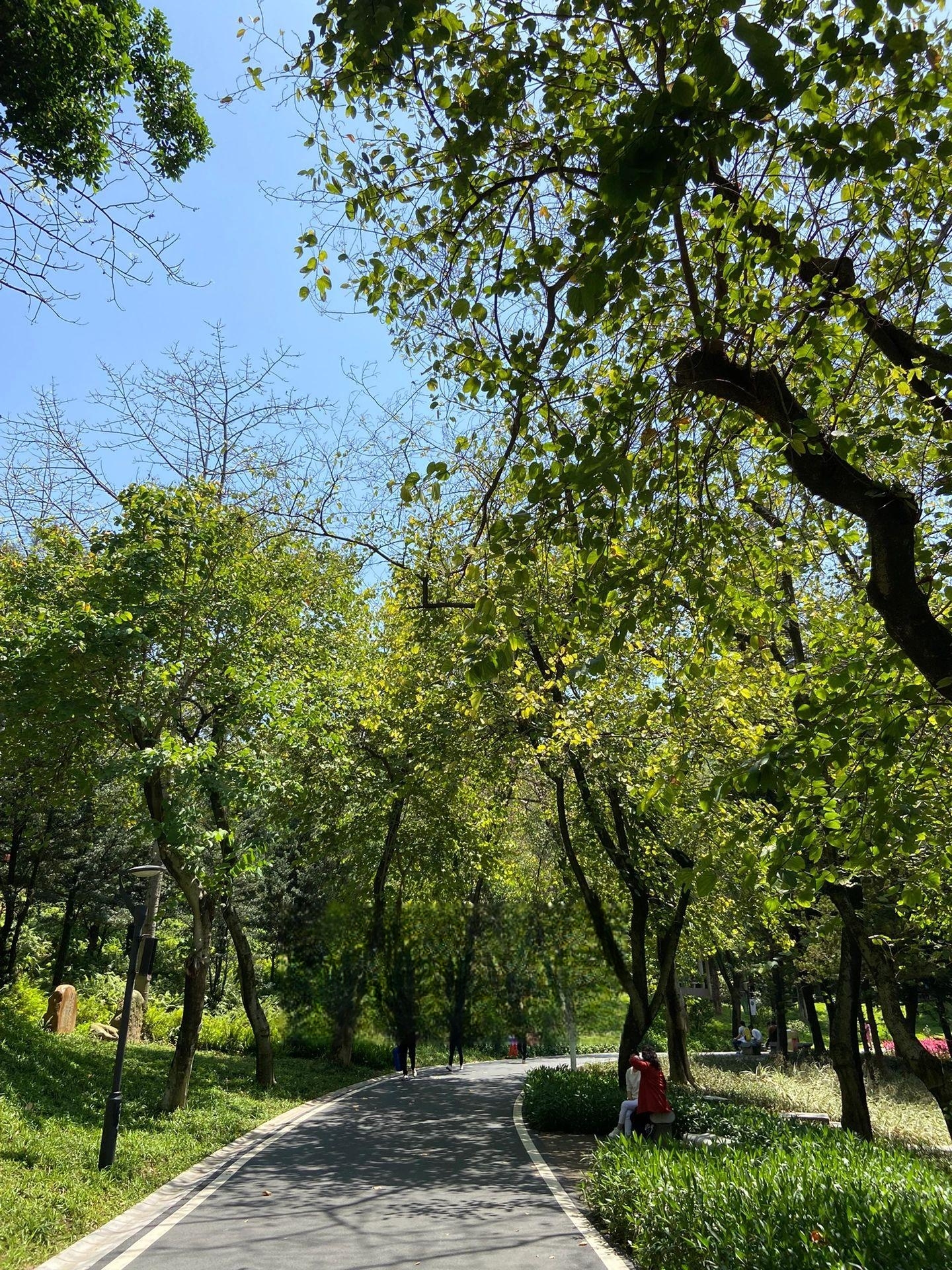 广州徒步 探店不如户外打卡最美徒步路线