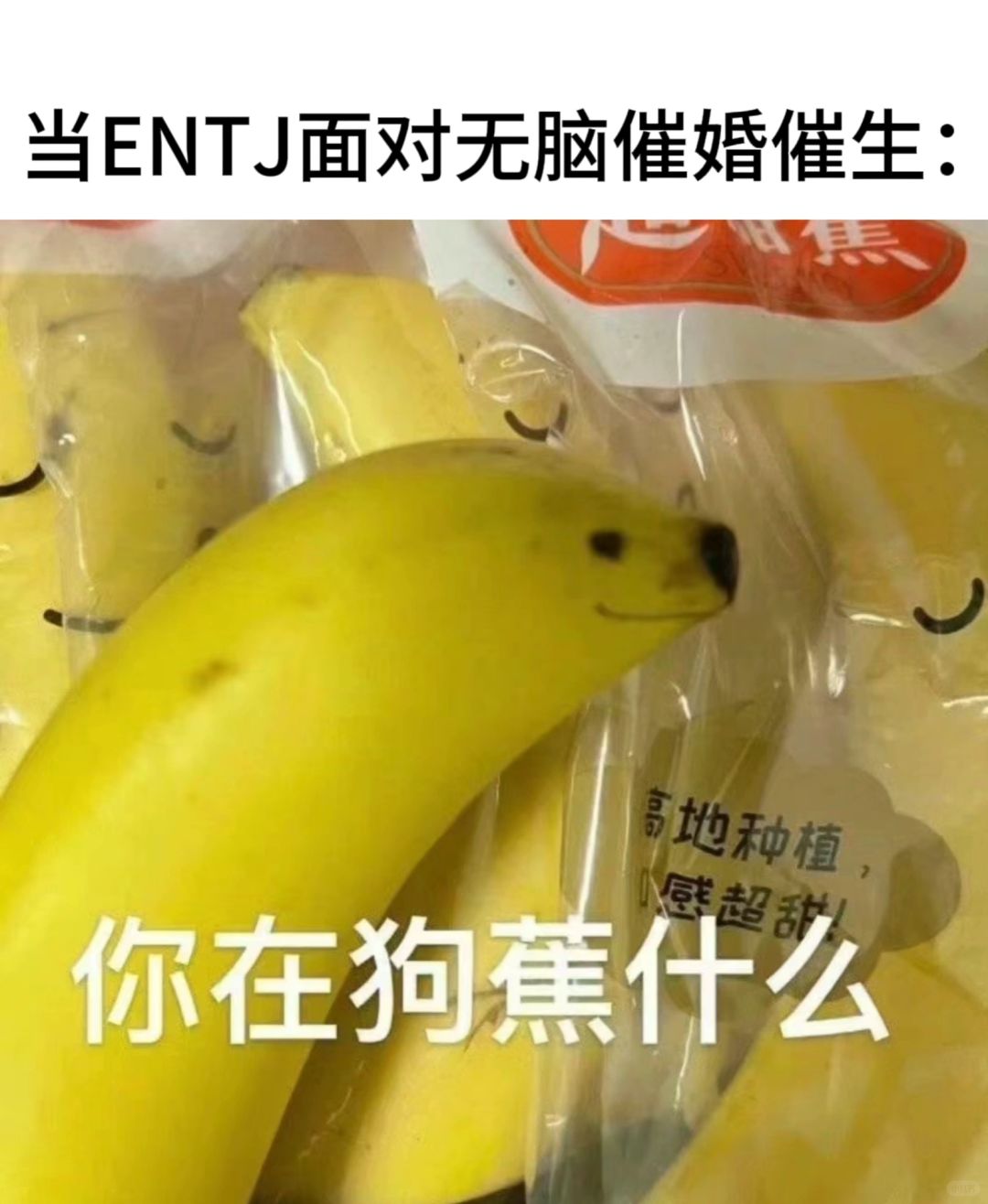 重养Day4: ENTJ的情绪肤质是城墙皮
城墙皮的优点，厚且耐受. ENTJ面