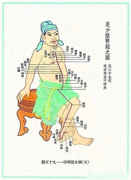 足太阳膀胱经, 养生保健非常重要的经络