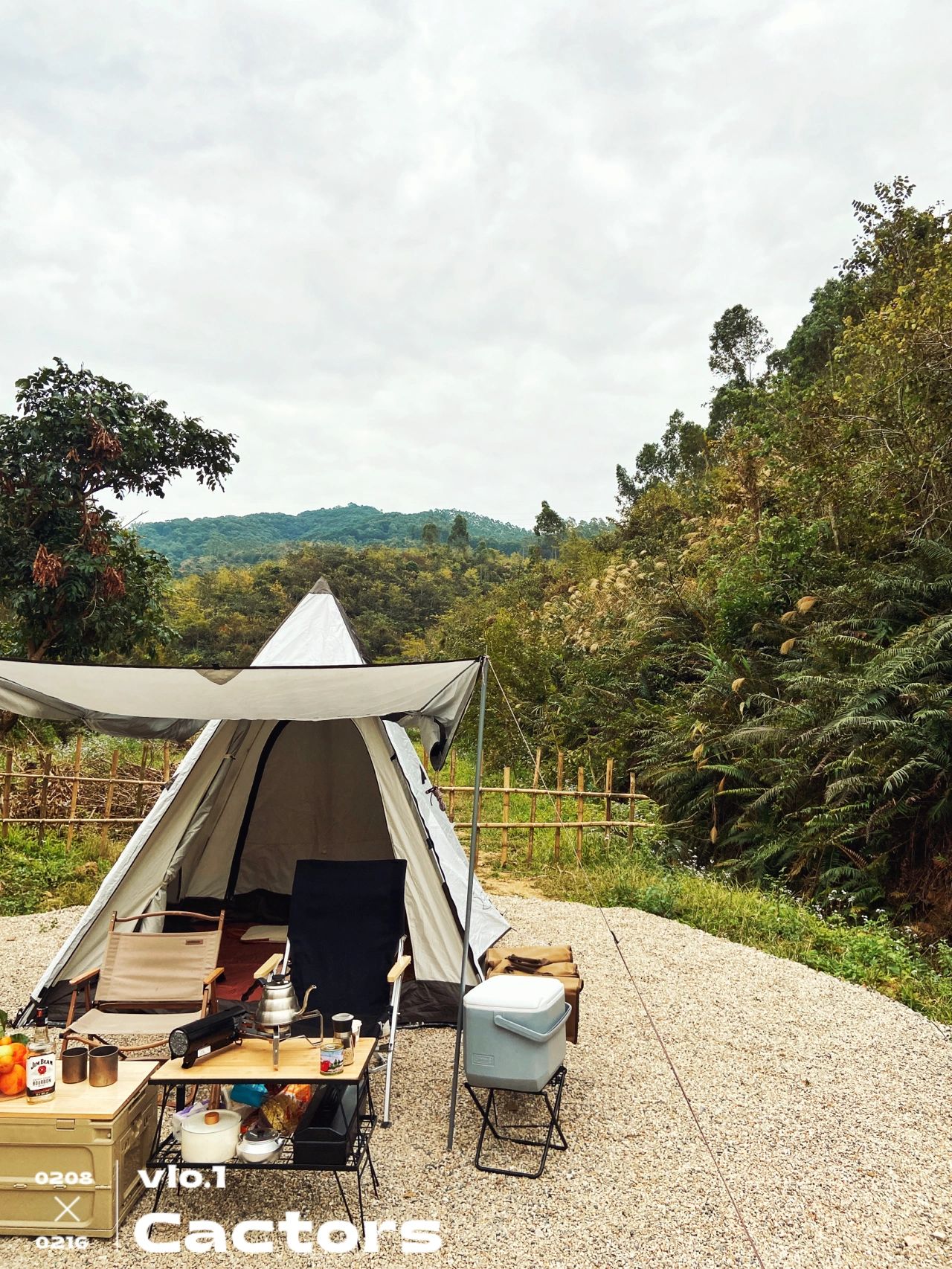 露营｜藏匿在风铃树下避世营地