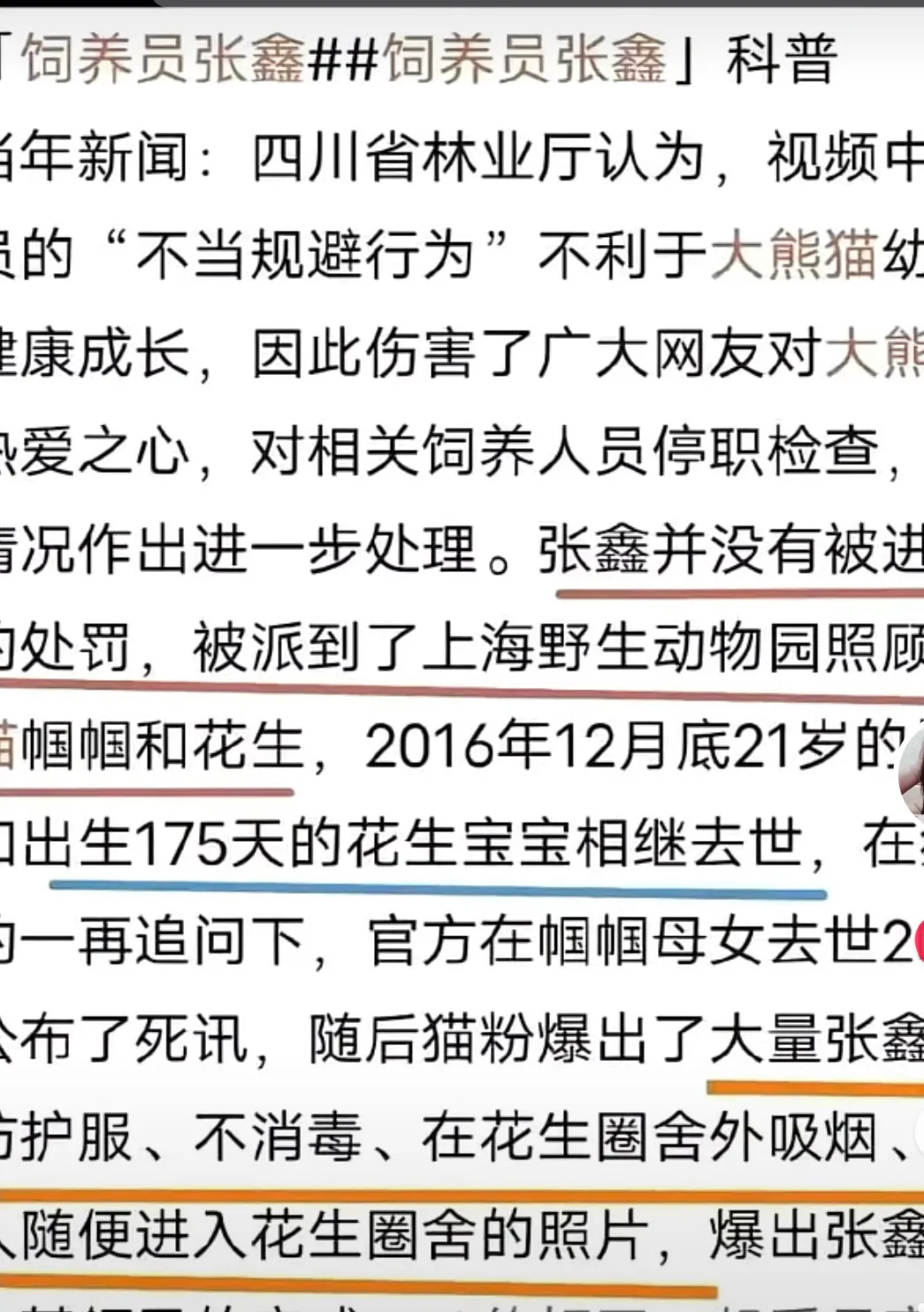 这个张鑫是熊猫克星，打小时候的爱宝，去上海又养死两只熊猫，现在养芦芦又严重刻板。