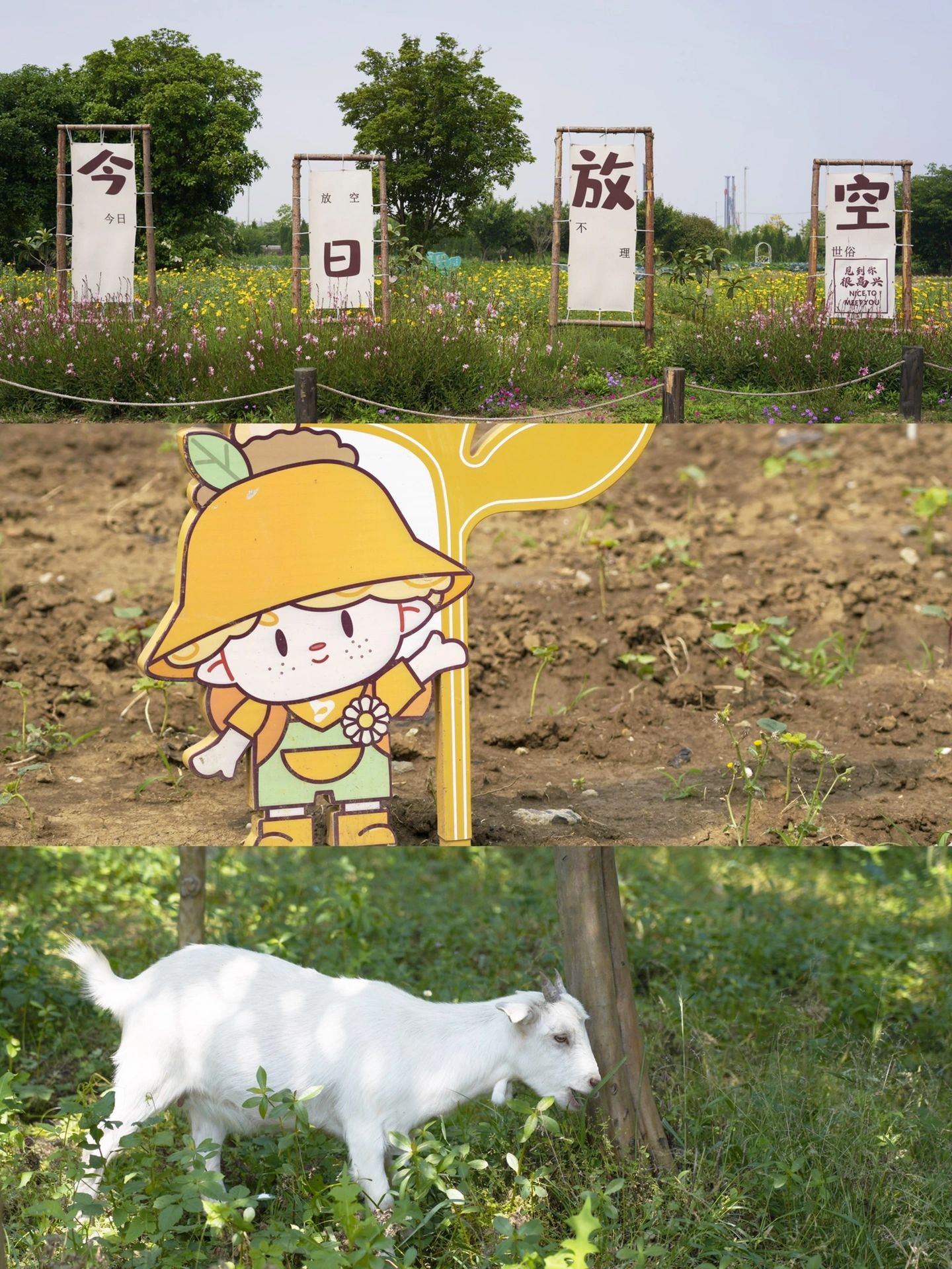 苏州遛娃宝藏好去处
