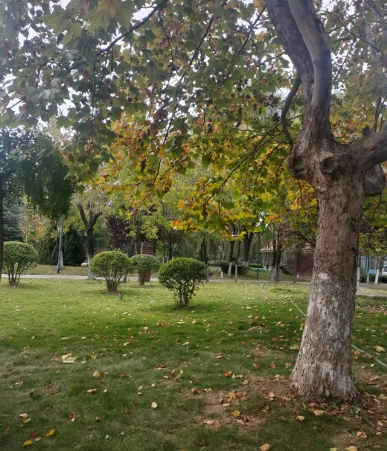 一个人现实到什么程度？昨天，我们村书记家嫁女儿，在大酒店摆了150多桌，真是热闹