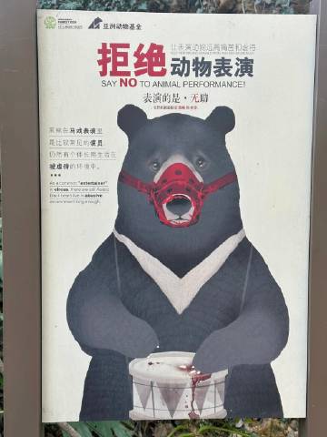红 山 动 物 园 就 是 
现 实 版 的 动 物 之 森 吧