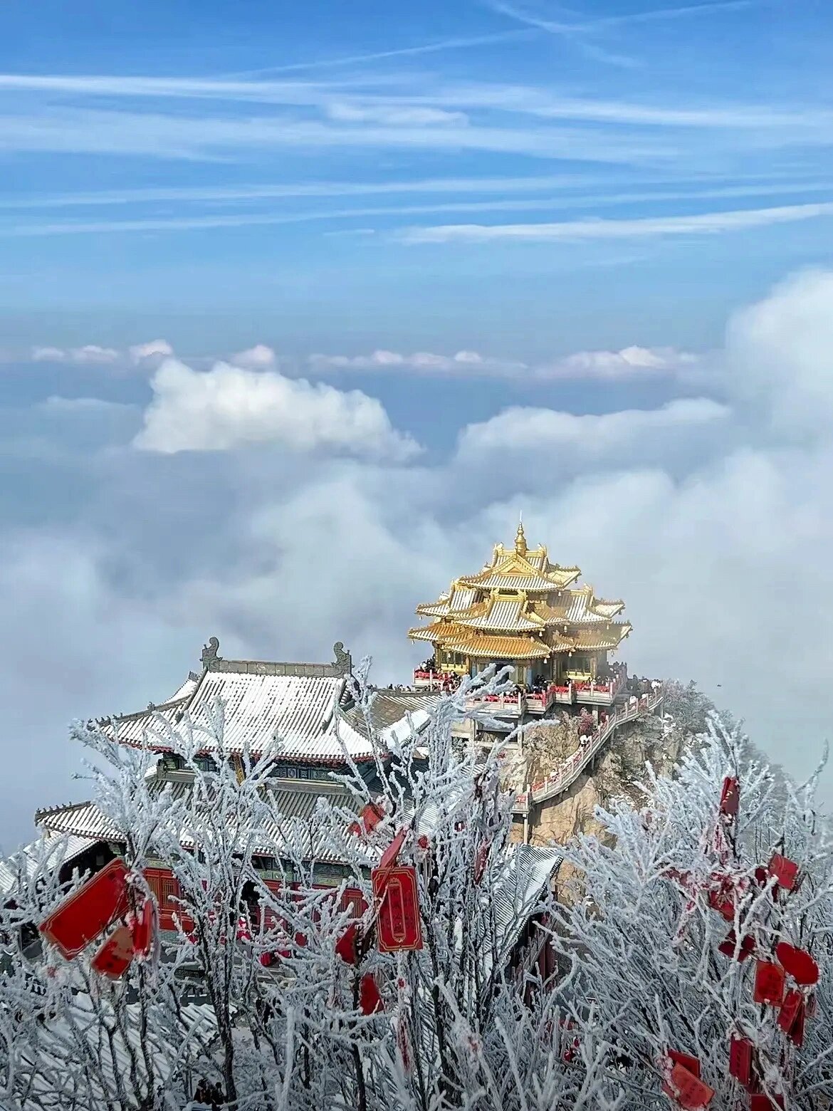 本周下雪&老君山赏雪避坑攻略❗️❗️