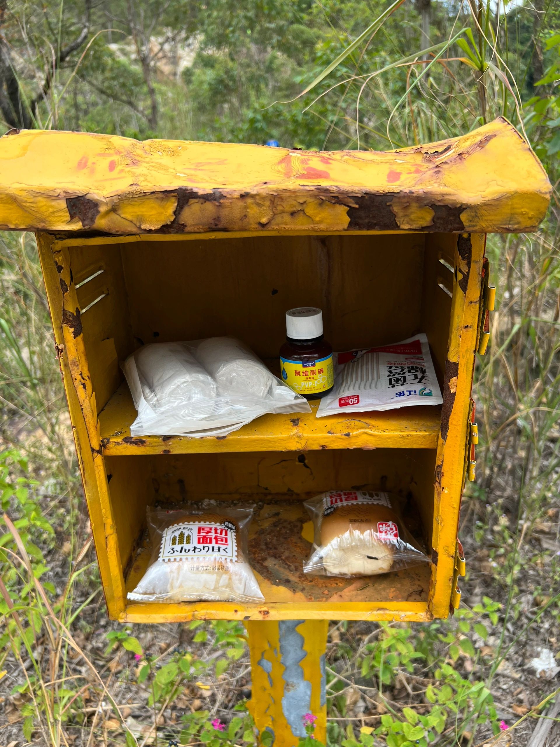 哇，广州最贴心的一条路线👍🏻