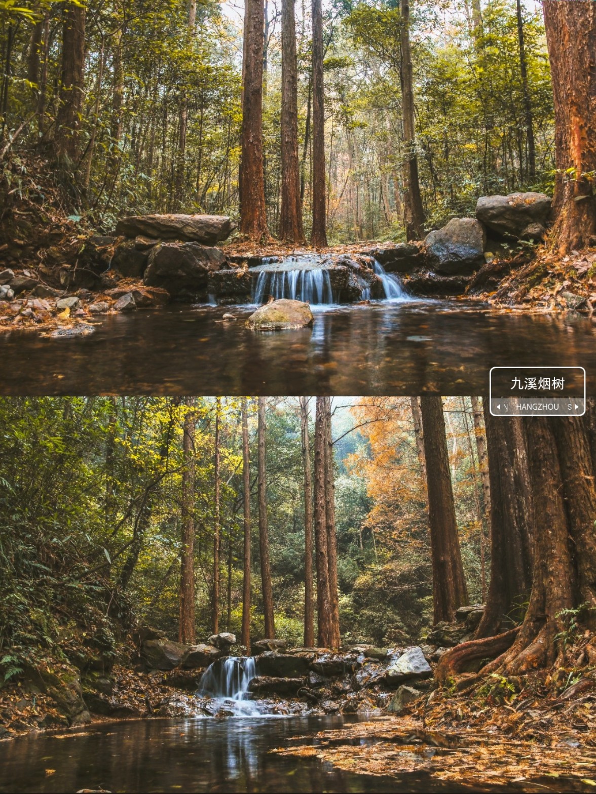 杭州秋天，深秋的九溪才是最美的