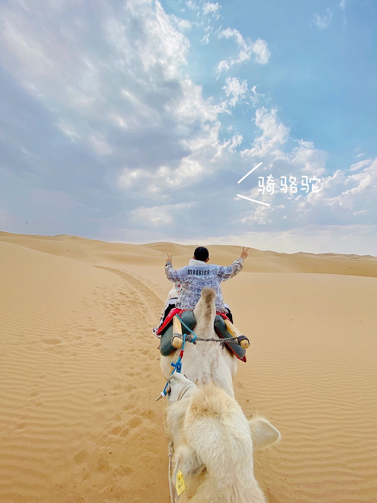 🐫沙坡头详细攻略👍中卫旅游必看✨