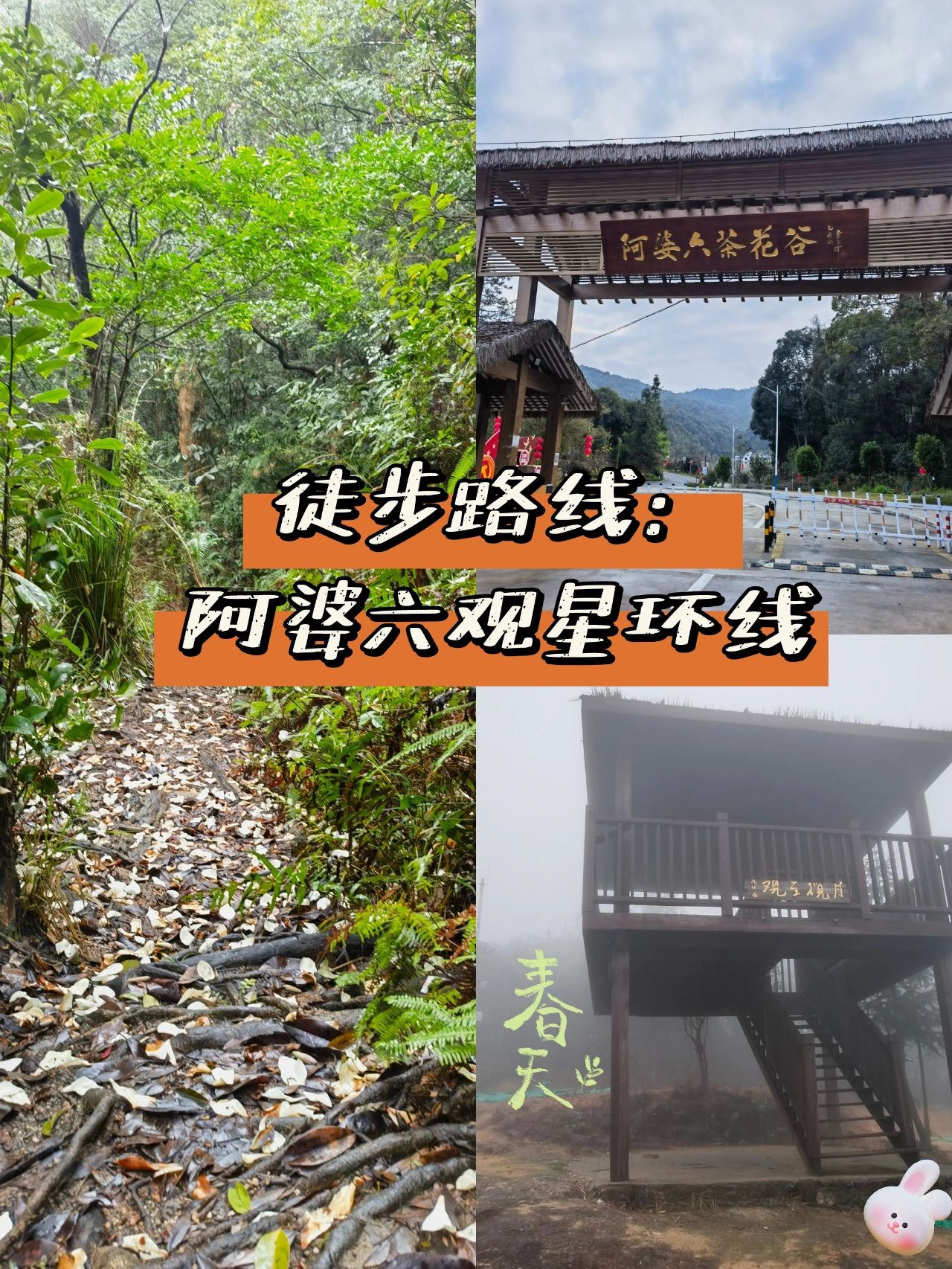 徒步路线：阿婆六观星环线