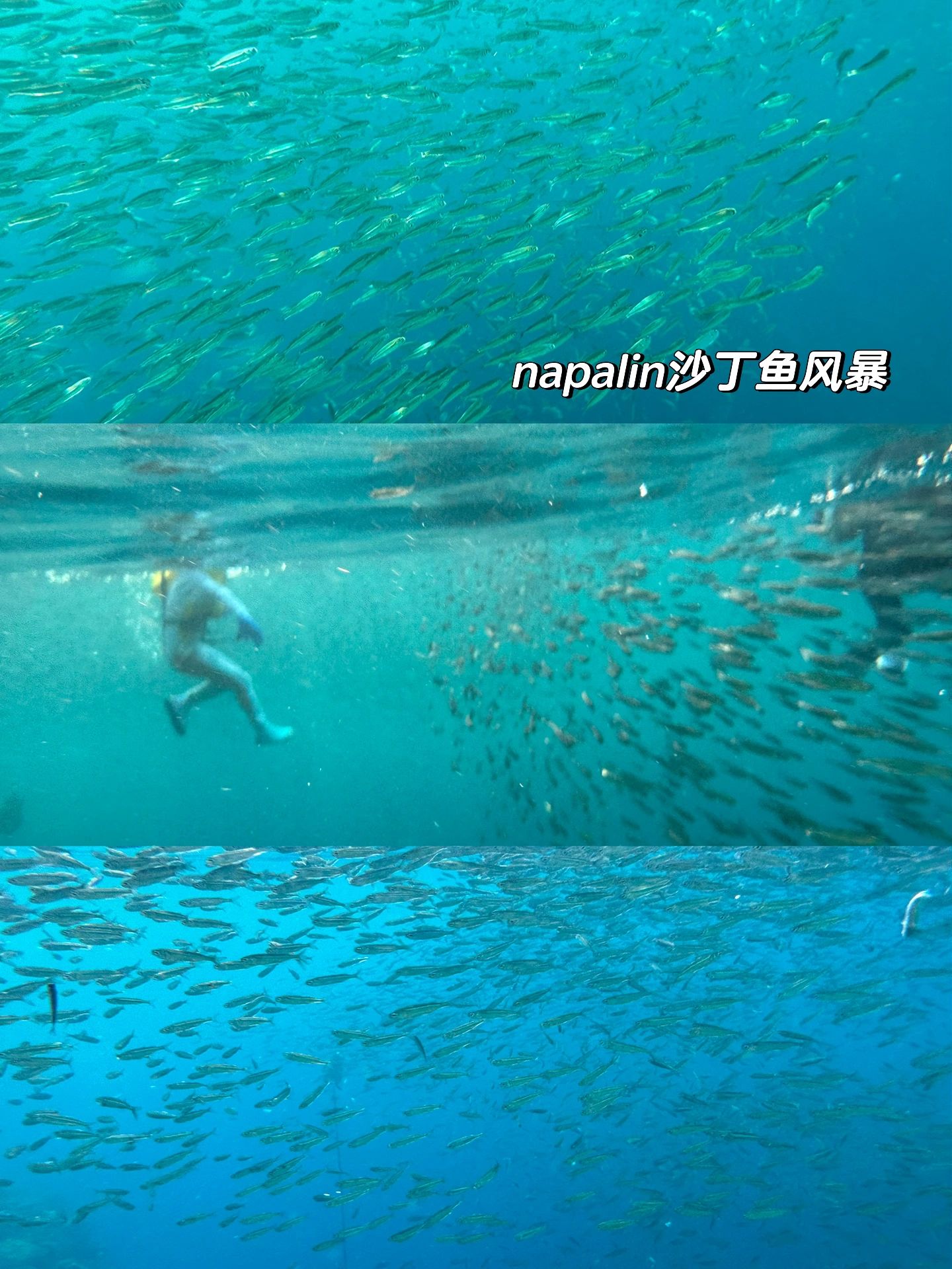 薄荷岛☀️菲律宾最适合亲子的小岛🏖