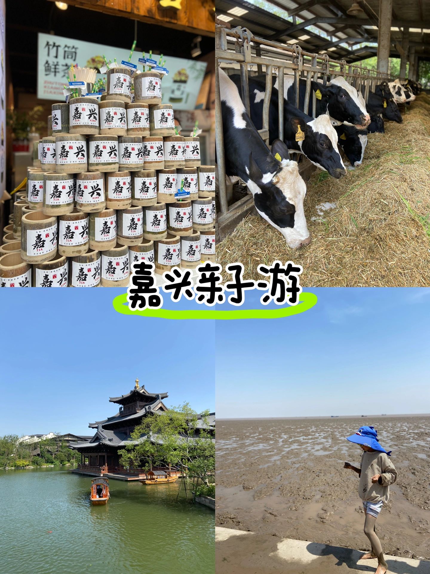 嘉兴亲子三天游超详细攻略‼️