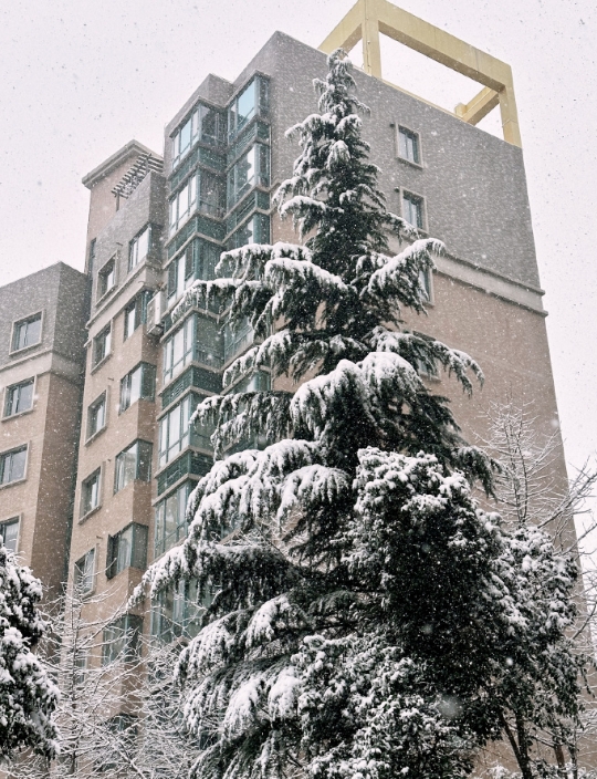 尼听我说：
西安下大雪咯！
出门赏雪玩雪～🌨️❄️☃️🎄
请大家一起赏雪