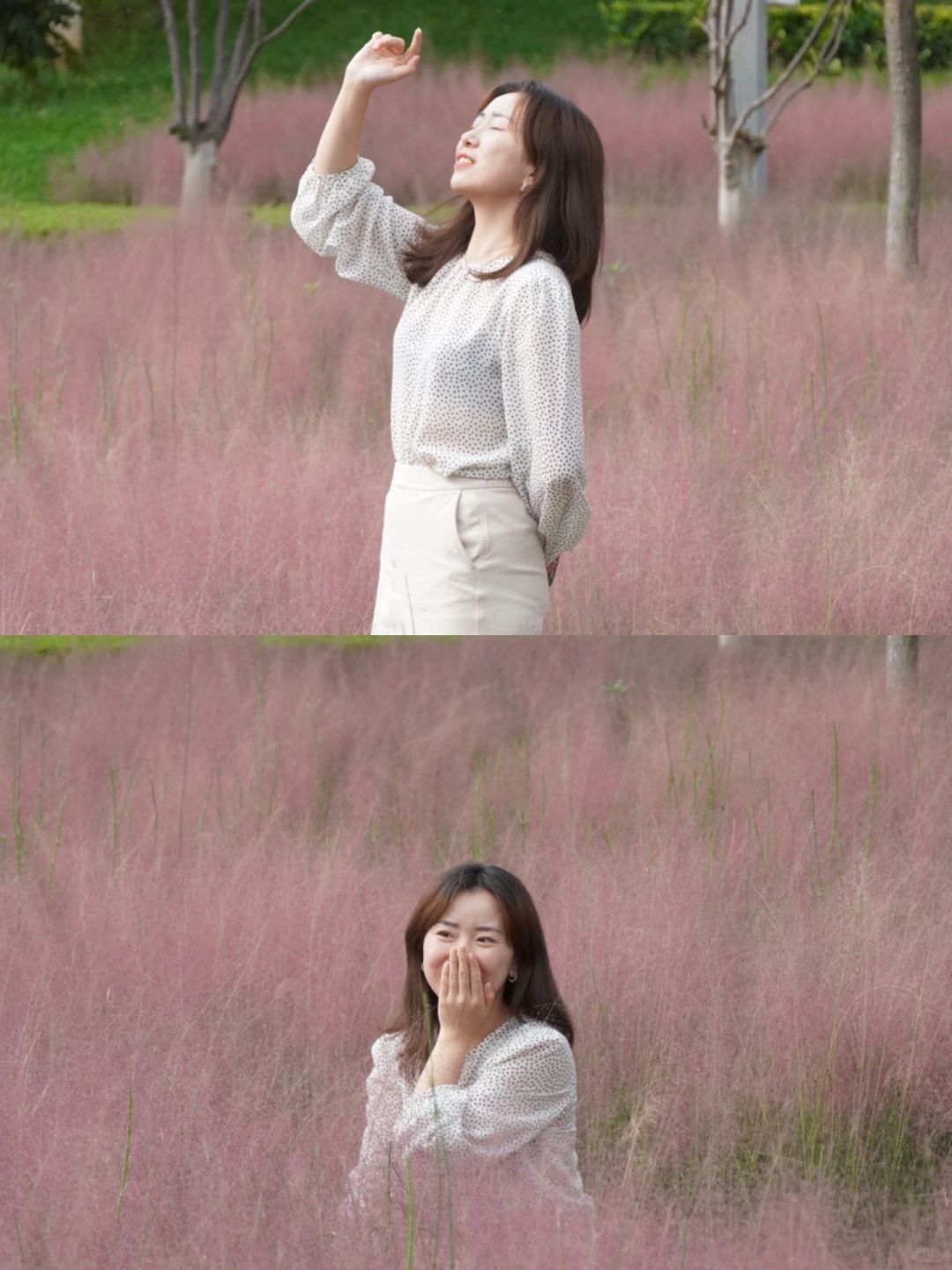 昆明周边|昆明市区40min可达的粉色花海🌸
粉黛乱子草，是初秋献给昆明最美的