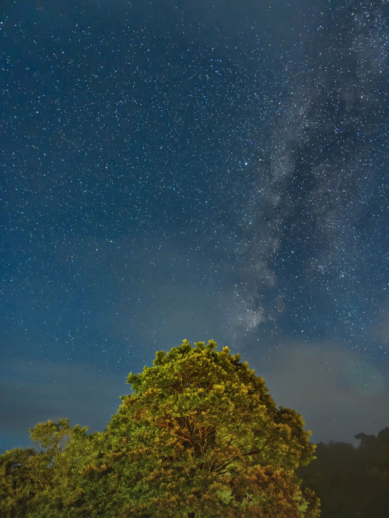 在广州能开车上去的星空露营地⛺️