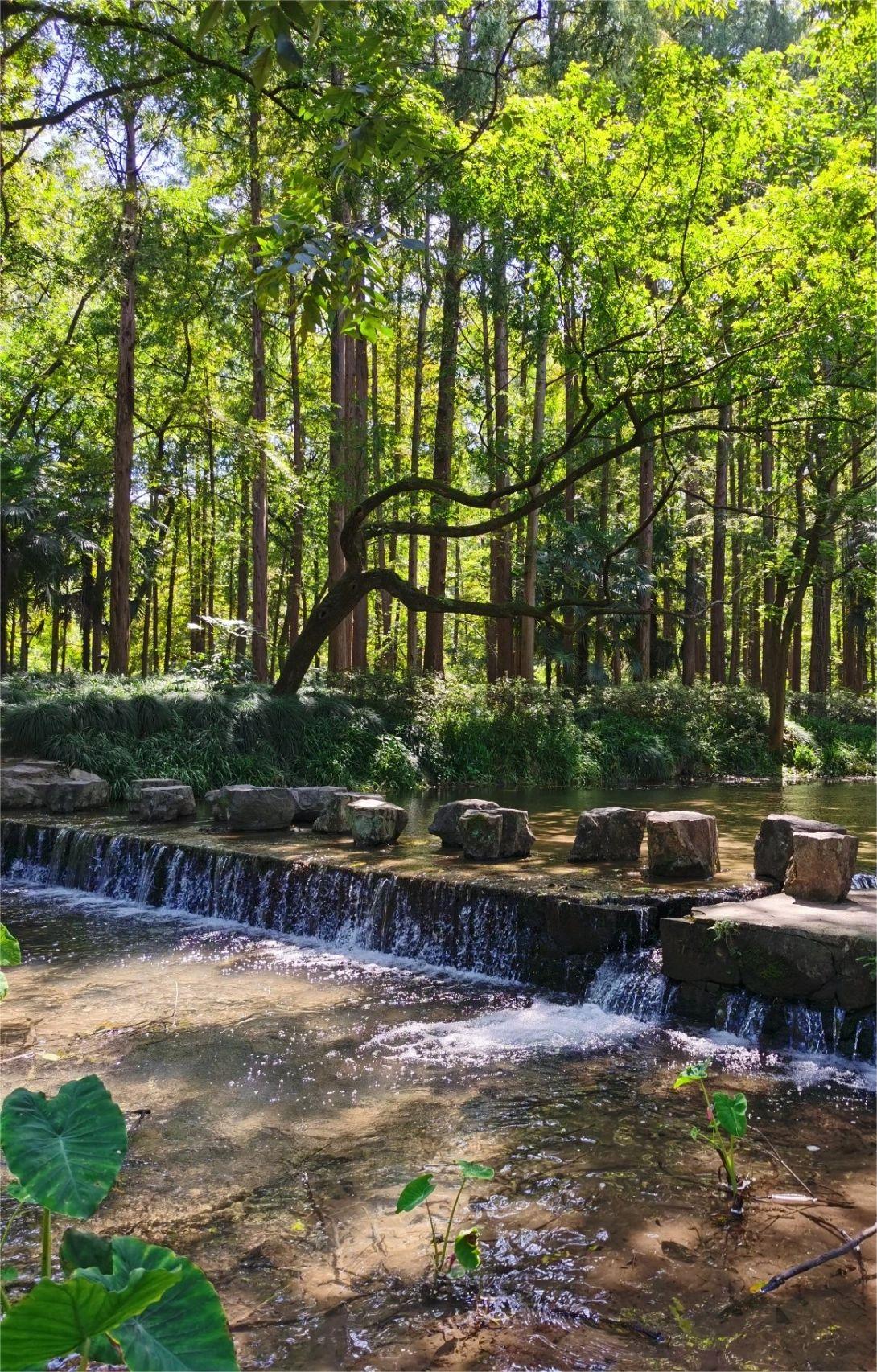 杭州旅游，如果你还没坐过87路我会伤心的