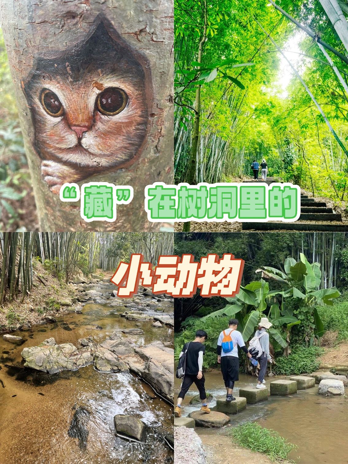 广州徒步 | 溪涧竹林环抱的夏日吸氧胜地