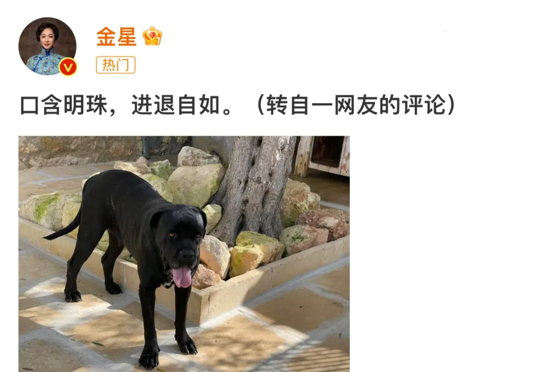 董明珠，懵圈了
金星的舆论，让她差点崩溃

金星是不是和董明珠有过节，还是和王自