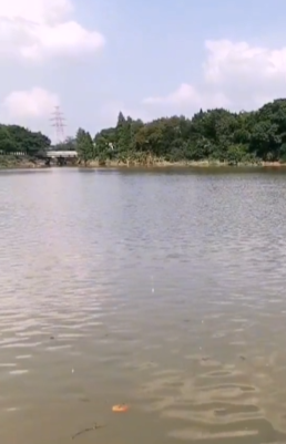 推荐一个钓泰鲮的钓点