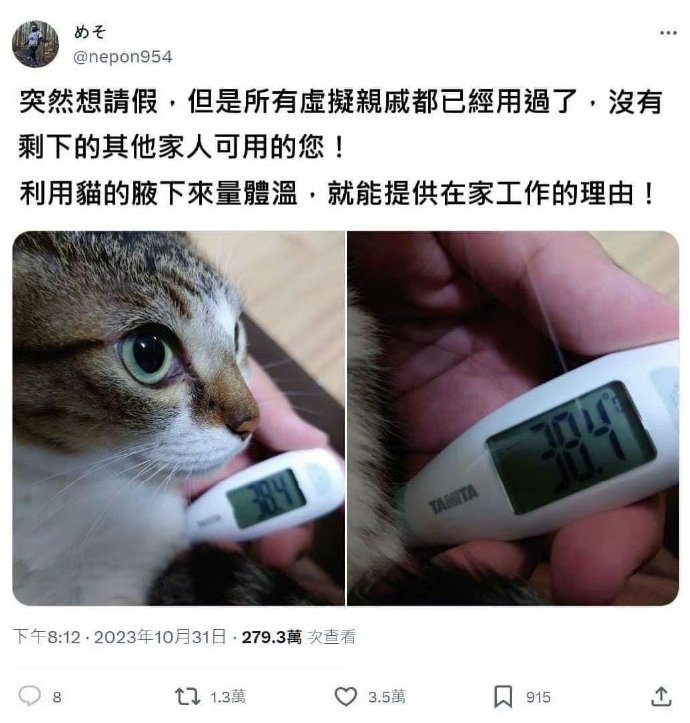 猫好 ​​​