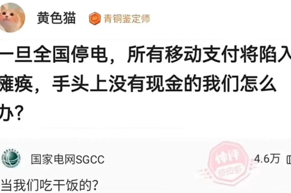 国家电网坐不住了！网上有人问，如果全国停电，所有移动支付都陷入瘫痪，手头上没有现
