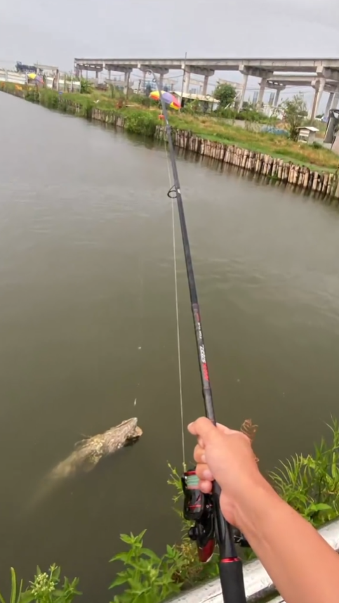 男人的快乐如此简单