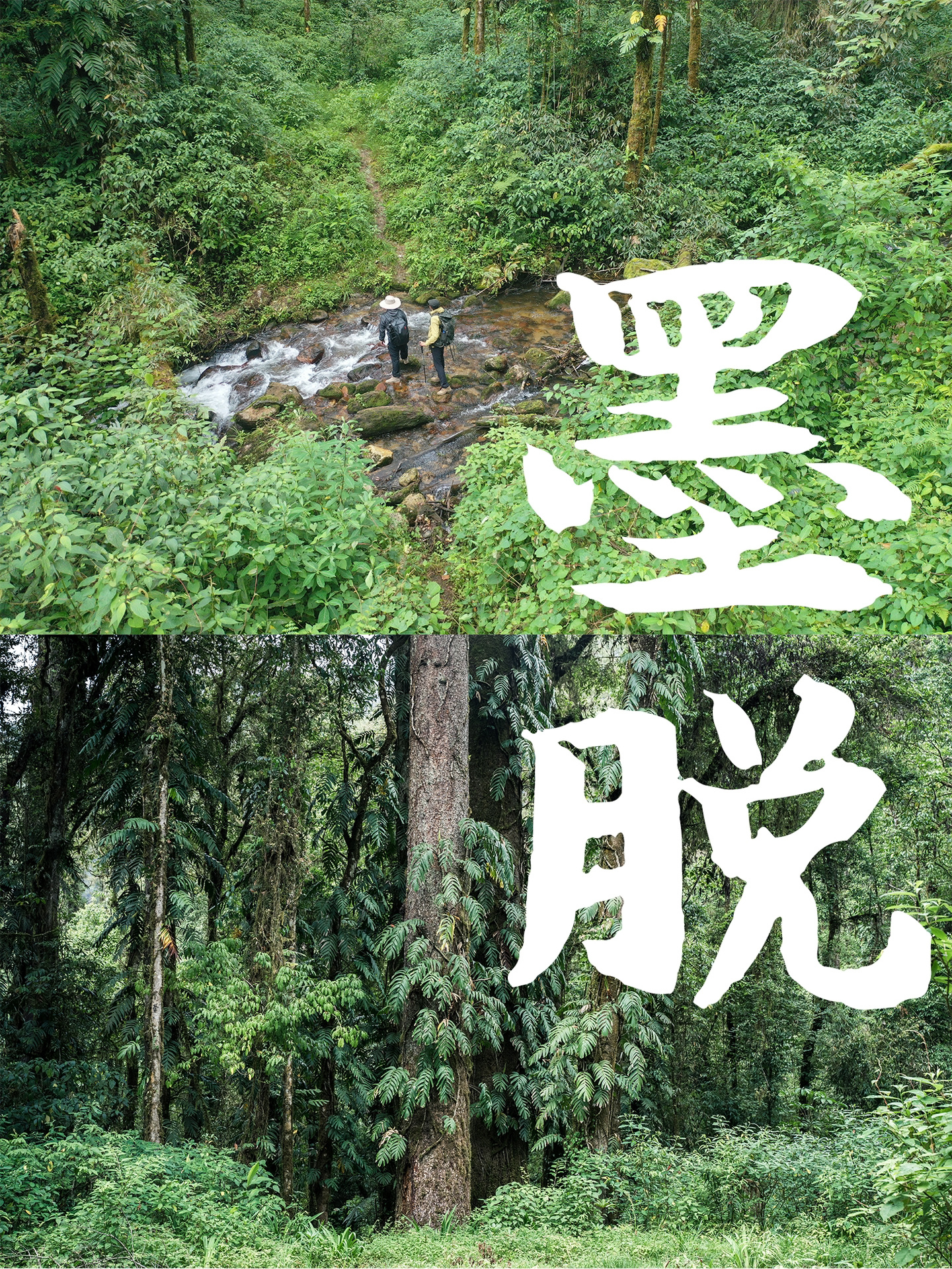 墨脱怎么玩这份攻略告诉你