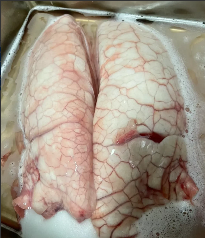 猪肺这种东西北方人从来不吃，所以北方人宰猪后的猪肺基本上都扔了。而猪肺对于南方人
