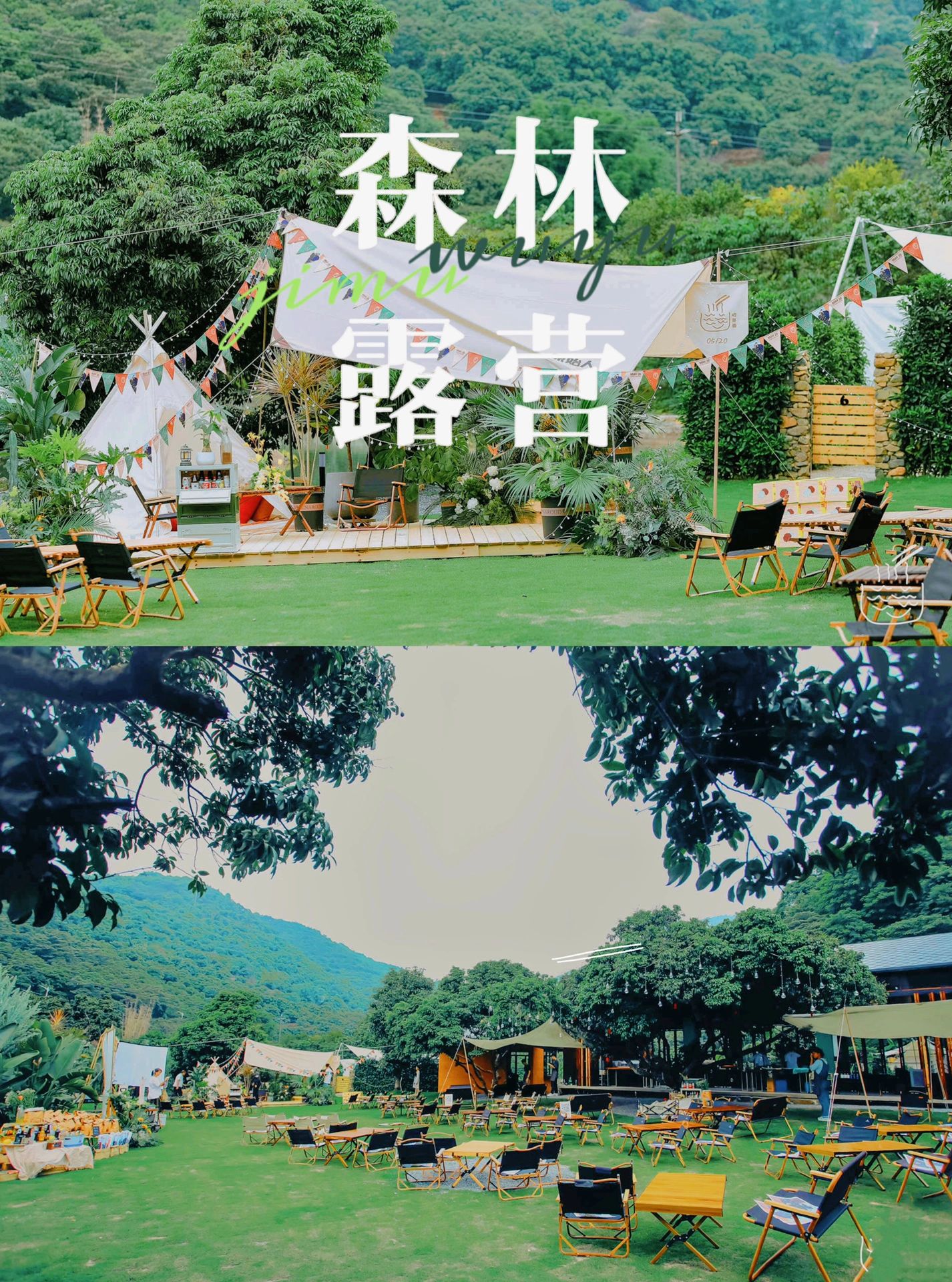 广州周边森林公园边的遛娃玩水圣地
