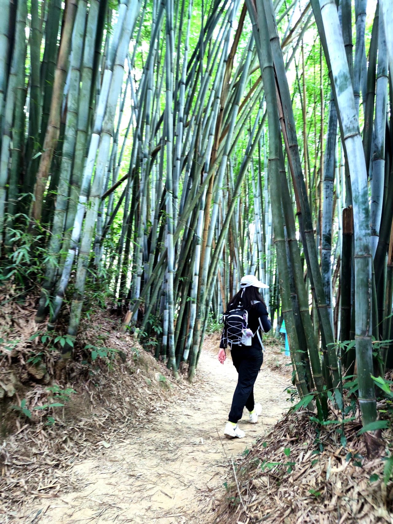 娃娃徒步记-☞黄麻小环线