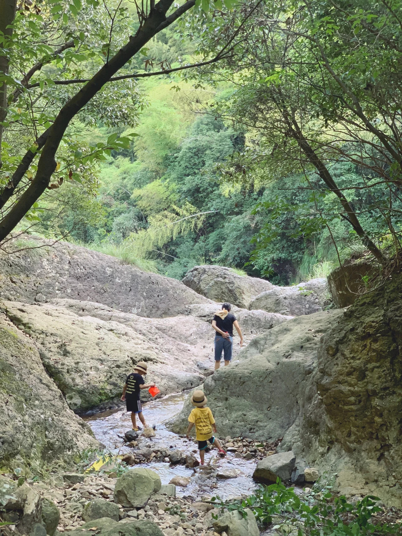 宁波亲子游｜中坡山森林探险｜水潭玩水