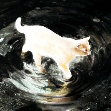 猫猫图鉴 ​