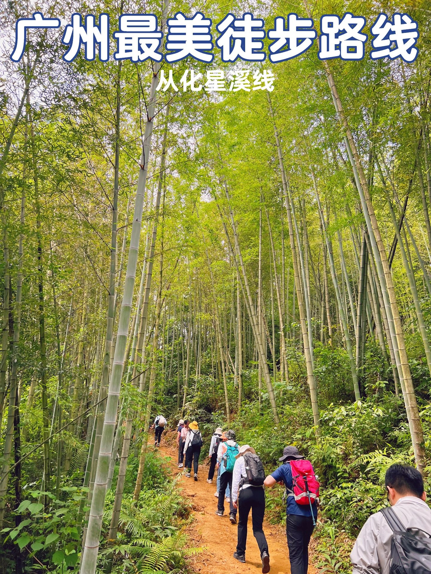 想爬山玩水嘛？ 那就来从化星溪线