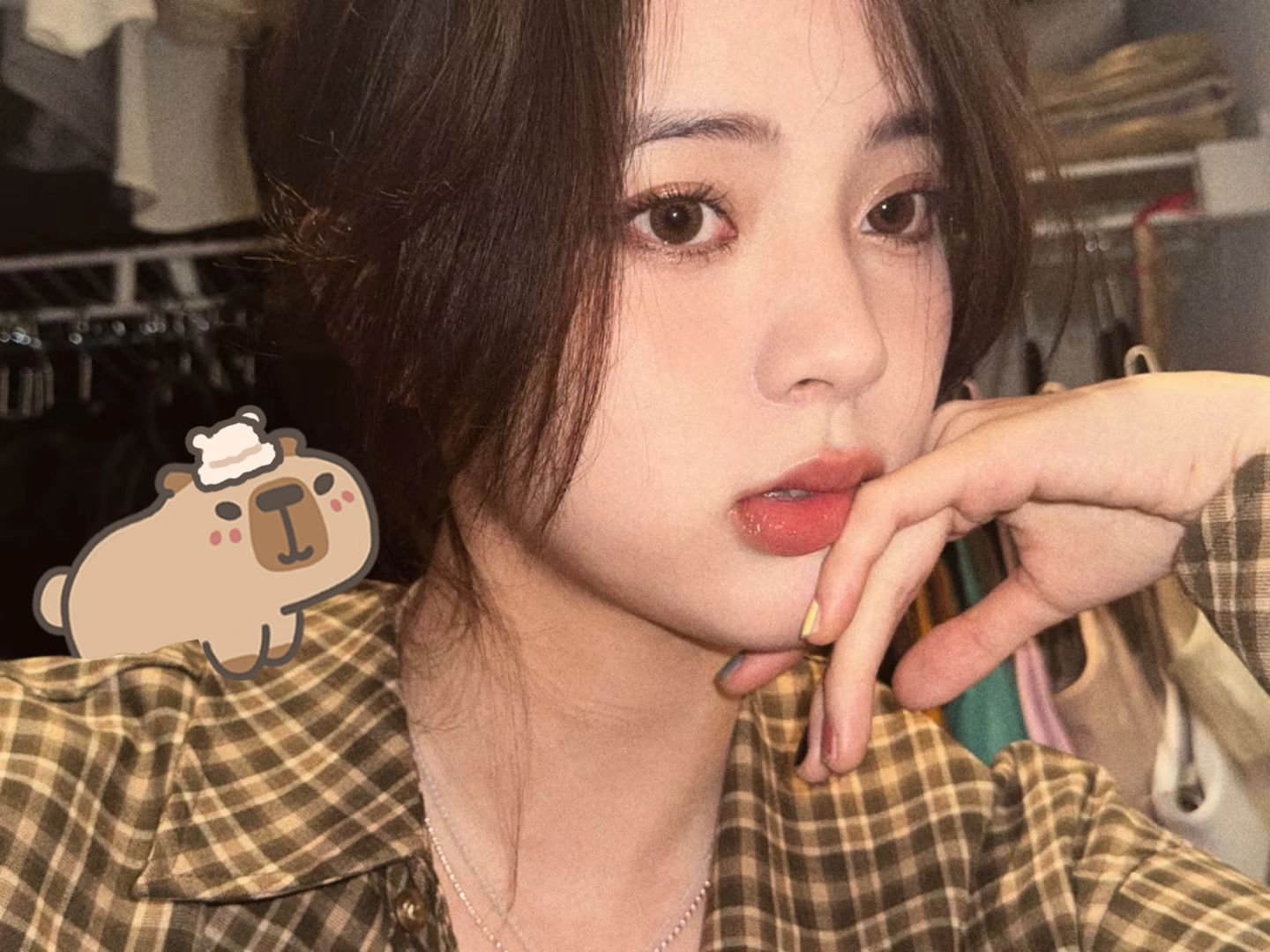 Nabi 突然出现的卡皮巴拉🦫 ⸝⸝⸝
介绍一下，这4我的新朋友🥺🥹🥺