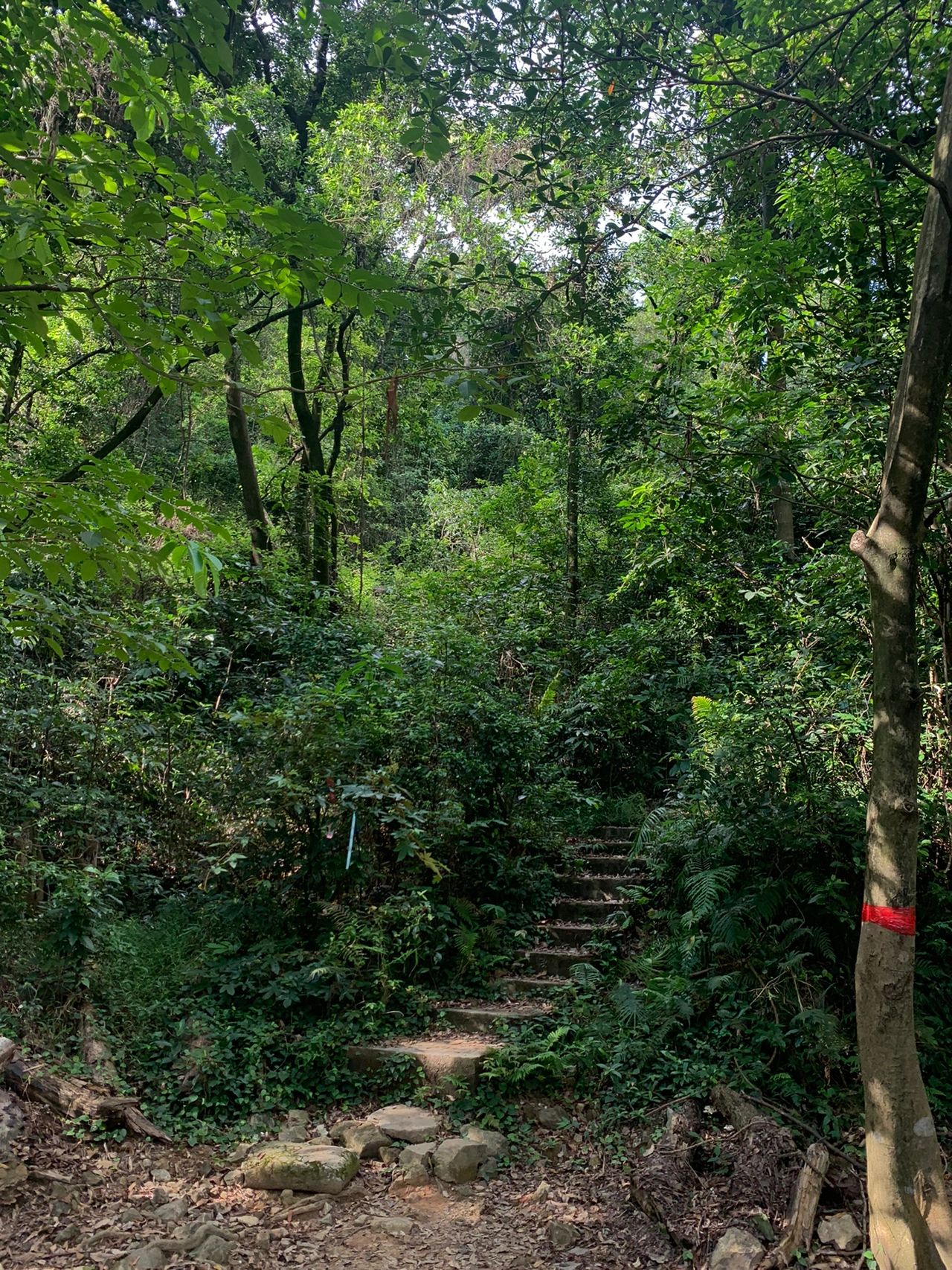牛渔线徒步😀一起相约户外，和烦恼说拜拜