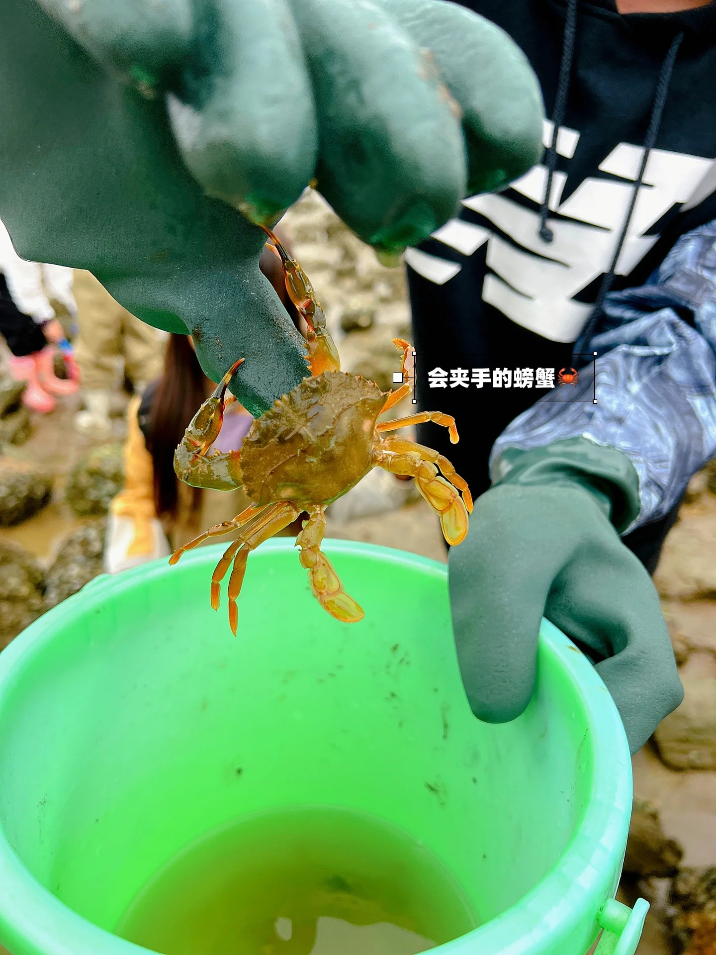 我在深圳市区找到一个可以赶海野餐的公园