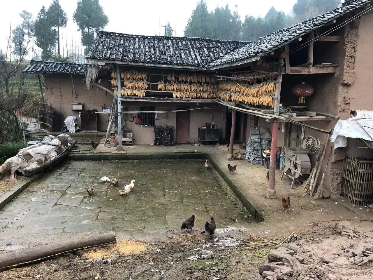 回了趟老家，发现村里很多老人都已经去世了，跟爸妈一样年纪的邻居也都老了，路上的小
