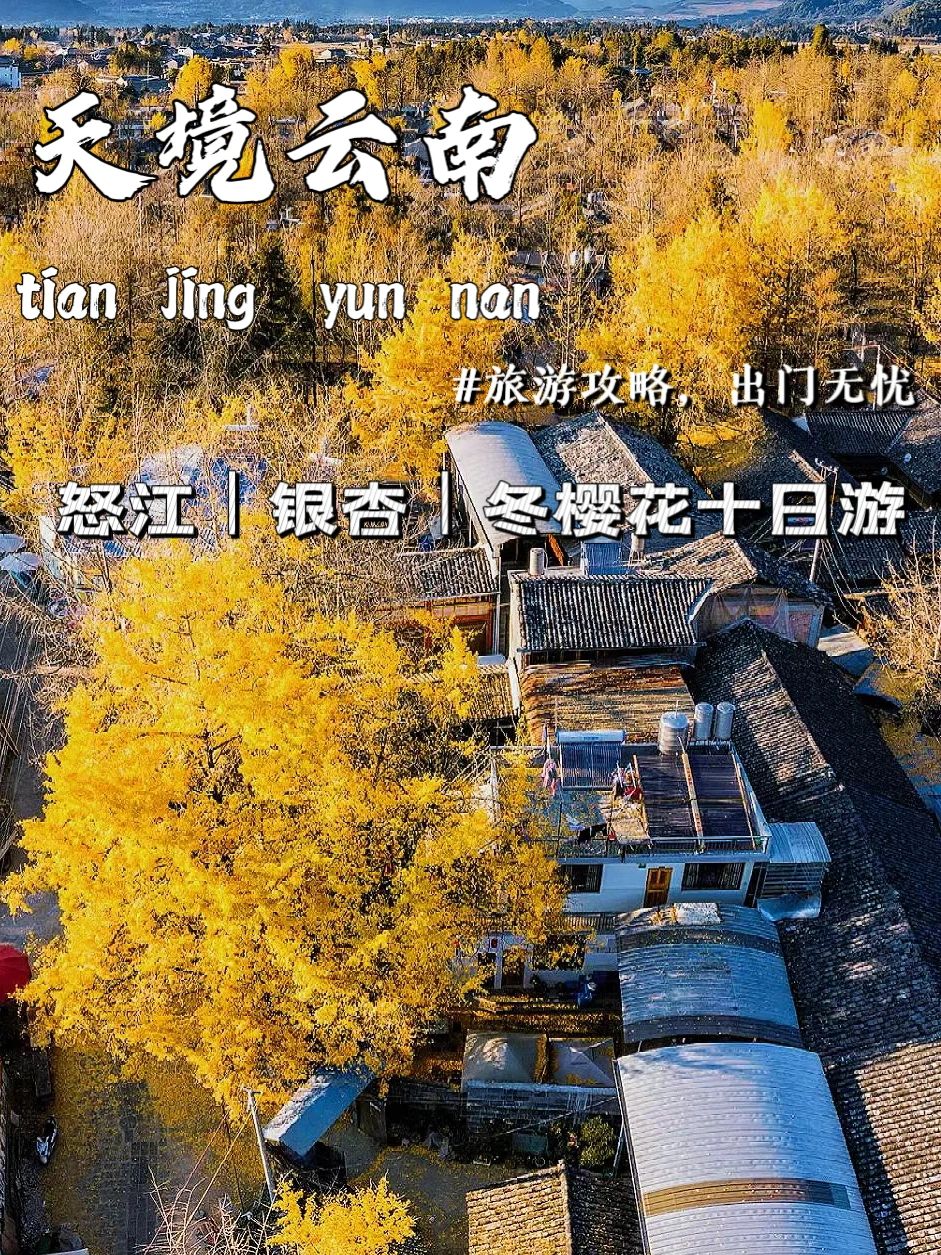 秋季云南旅游天花板，怒江腾冲冬樱花十日