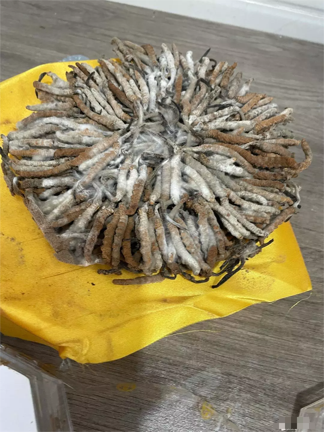 问大家虫草发霉了还能吃吗？