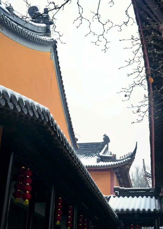在灵谷寺赏雪静心，祈愿事事如意，安康吉祥