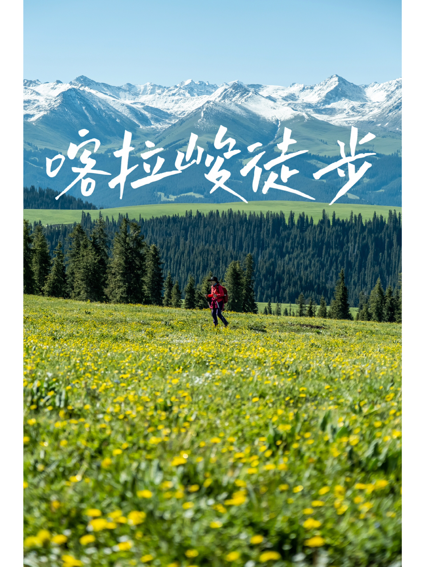 不要错过新疆的夏天，喀拉峻徒步太美！