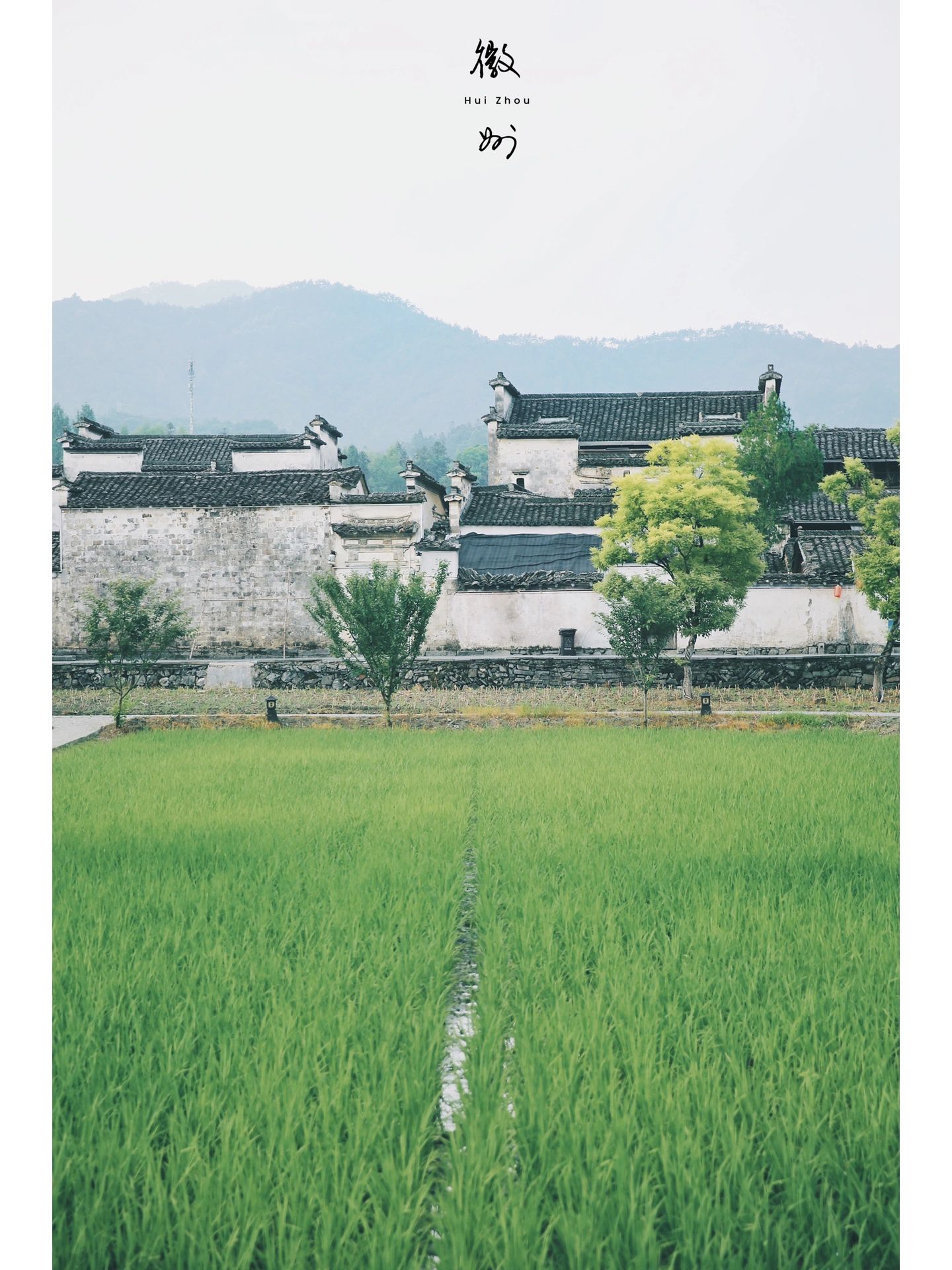 徽州入梦｜烟雨入江南，山水如墨染
