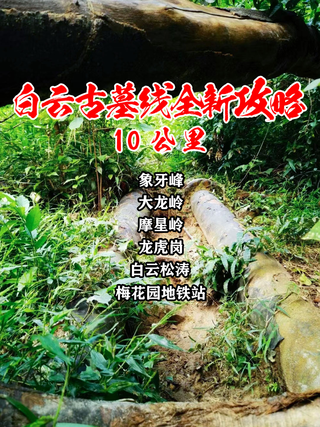 广州白云山古墓大水管线打卡攻略